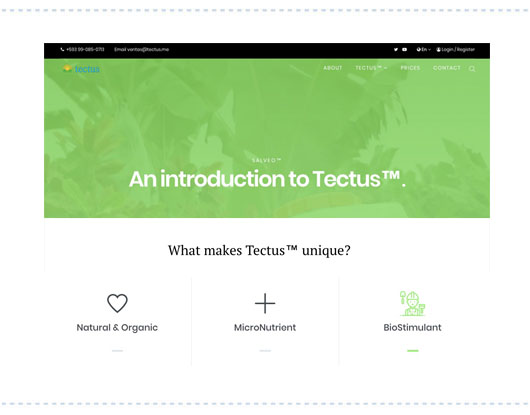 Tectus